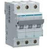 Disj.mag.2P 25kA 10A 3m - DISJONCTEURS MULTI. HAGER MMN310