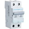 Interrupteur Magnétothermique Hager 1P+N 10A 4.5 KA C 2 Modules MYN510