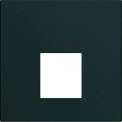 Enjoliveur Prise RJ45 Gallery Sans Porte-étiquette 2 Modules Night / Hager