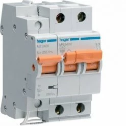 Limiteur Permanent De Surtension 2P 40A HAGER MZ240V