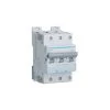 Disj.3P 6-10kA D-40A 3m - DISJONCTEURS MULTI. HAGER NGT340